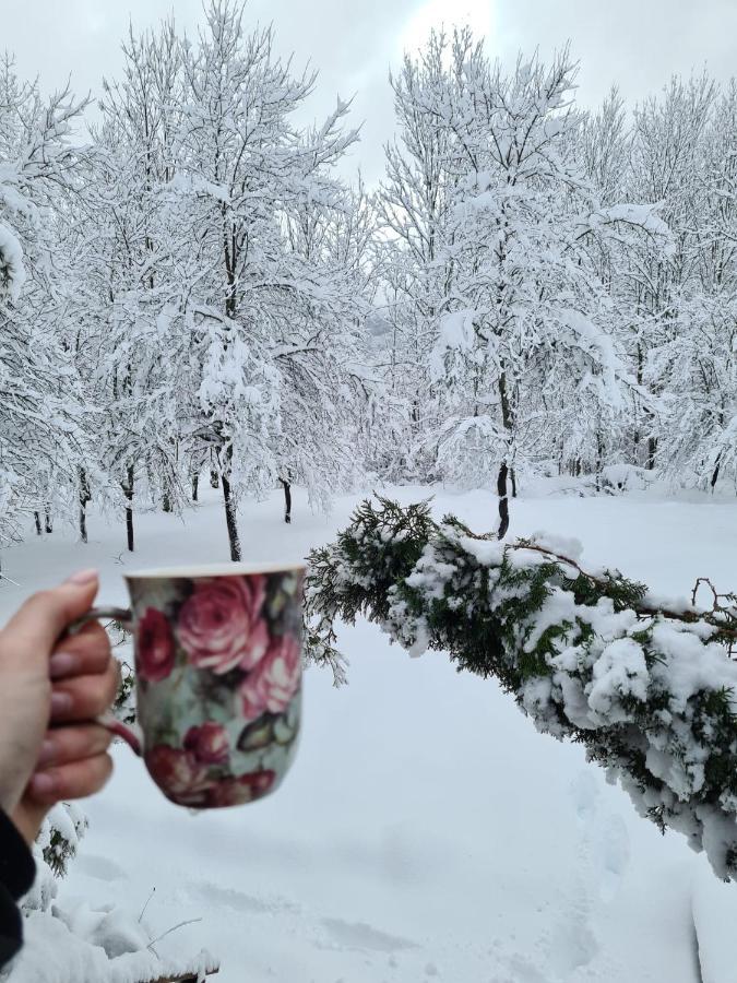 House Poljana Villa Plitvicka Jezera Bagian luar foto