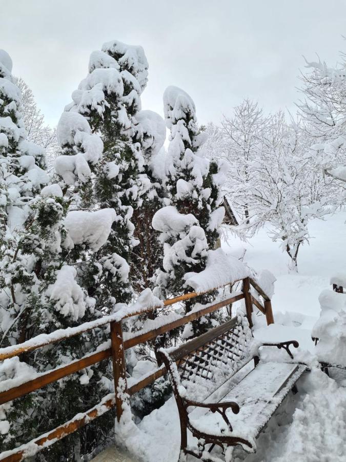 House Poljana Villa Plitvicka Jezera Bagian luar foto