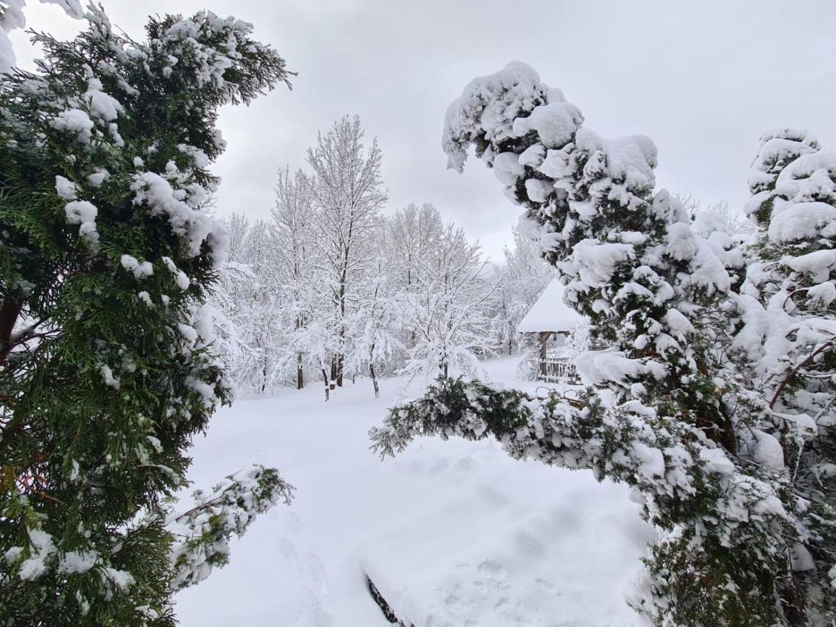 House Poljana Villa Plitvicka Jezera Bagian luar foto