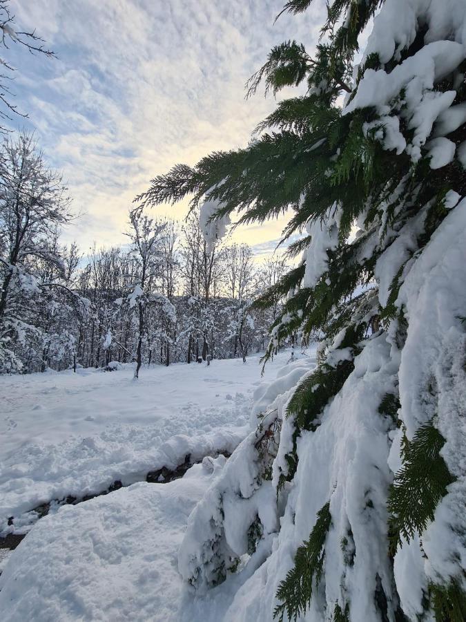 House Poljana Villa Plitvicka Jezera Bagian luar foto