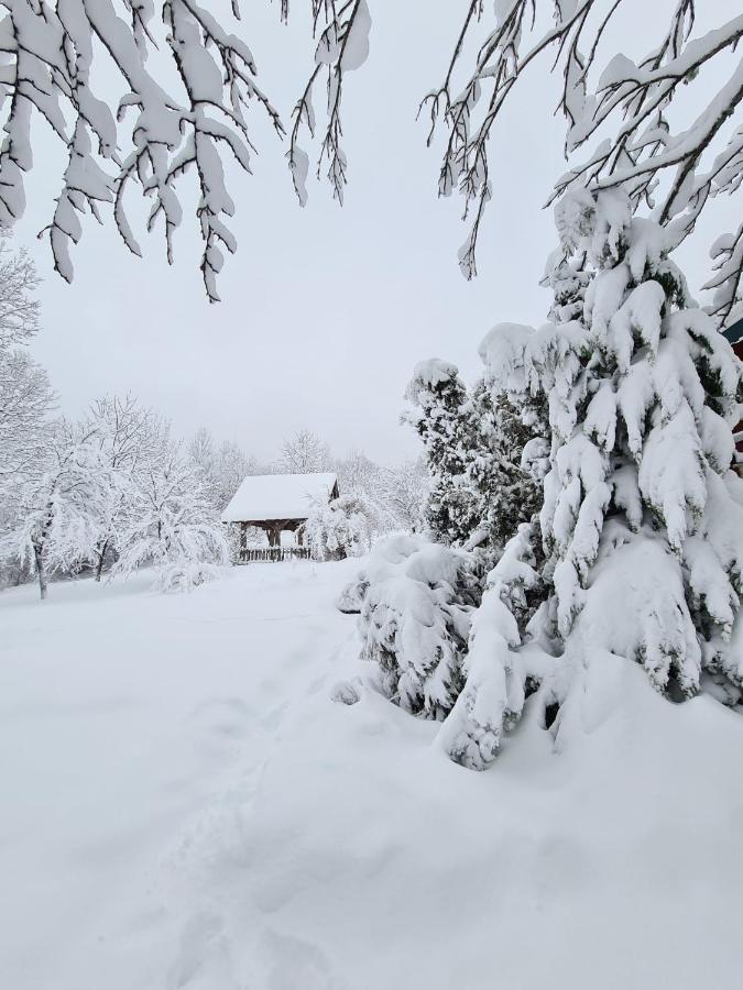 House Poljana Villa Plitvicka Jezera Bagian luar foto