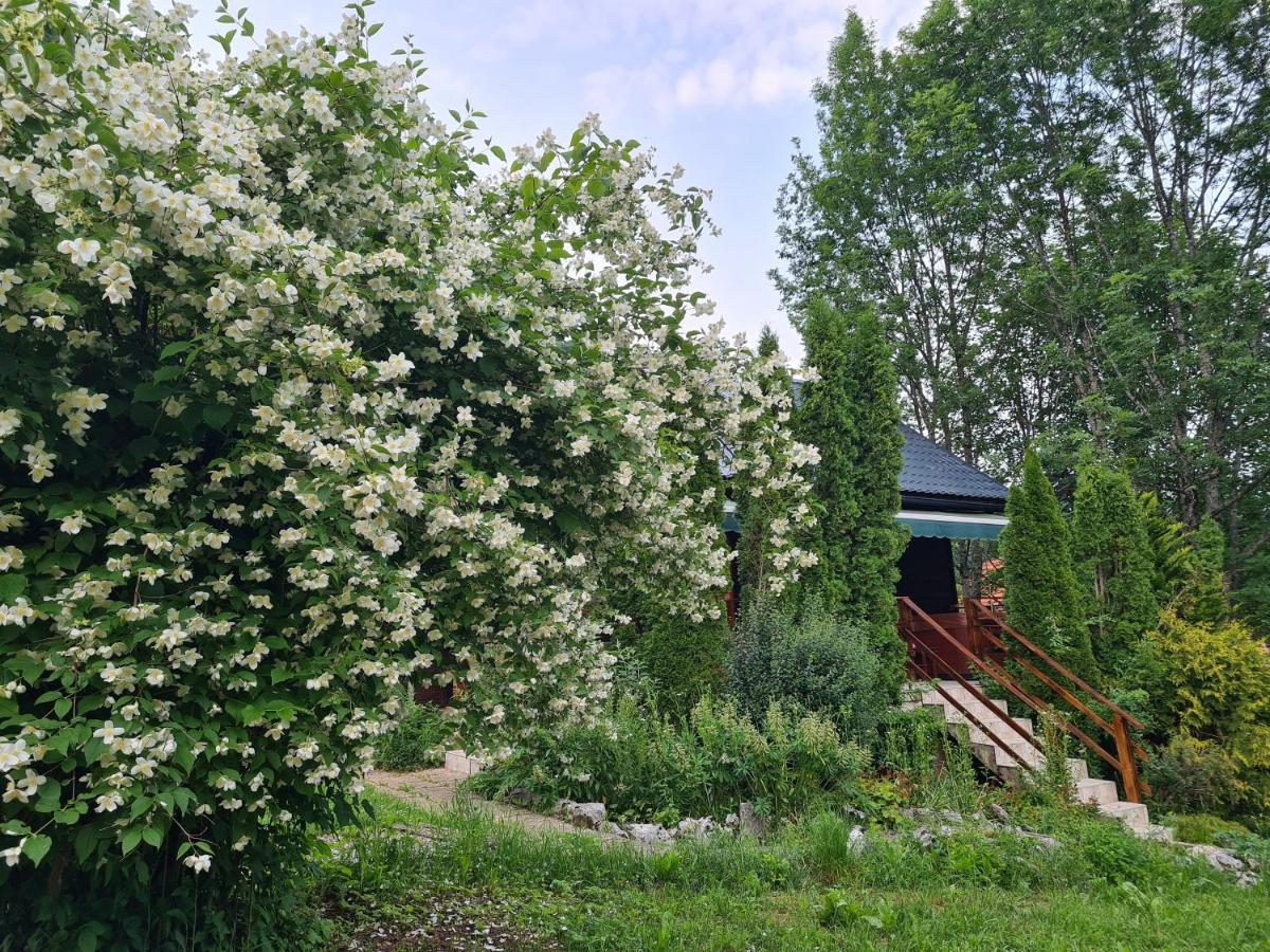 House Poljana Villa Plitvicka Jezera Bagian luar foto